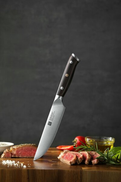 Steakový nůž XinZuo B13S německá ocel 5"