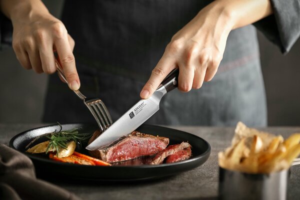Steakový nůž XinZuo B13S německá ocel 5"