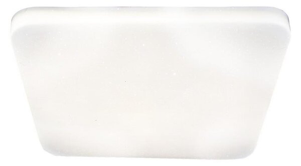 Rabalux - LED Stropní svítidlo LED/12W/230V