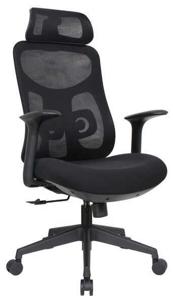 Ergonomická kancelářská židle LERO - černá síťovina / nosnost 150 kg