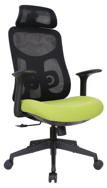 Ergonomická kancelářská židle LERO - černá síťovina / zelená látka / nosnost 150 kg