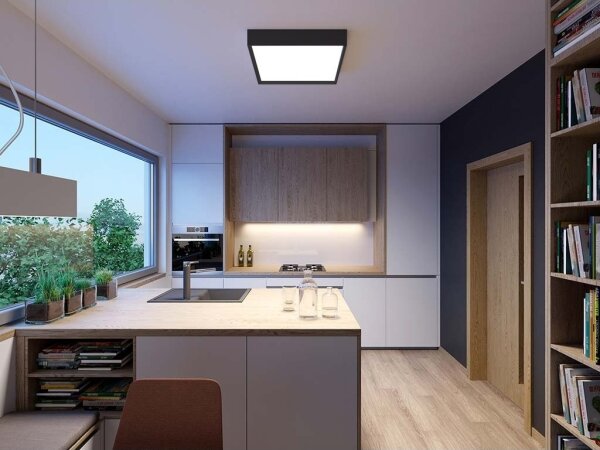 LED2 - LED Stropní svítidlo MILO LED/30W/230V černá 3000/4000K