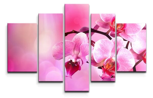Sablio Obraz - 3-dílný Květy orchideje - 120x80 cm