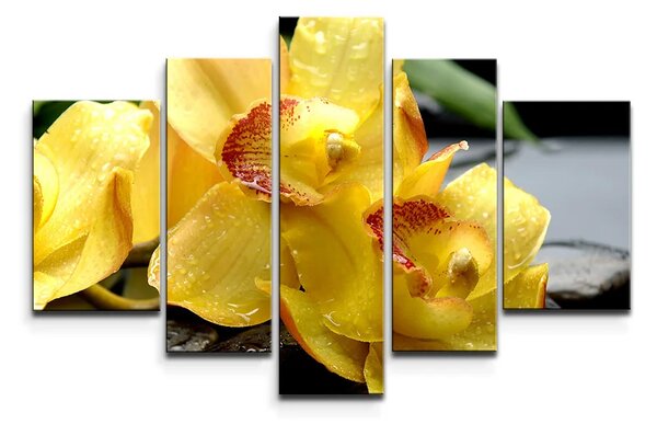 Sablio Obraz - 5-dílný Žluté orchideje - 125x90 cm