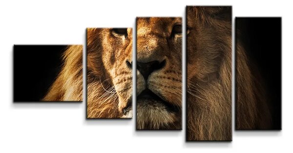 Sablio Obraz - 5-dílný Lev - 100x60 cm