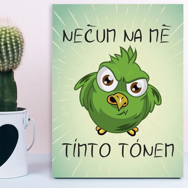 Sablio Dárková cedulka Nečum na mě tímto tónem: 30x40 cm