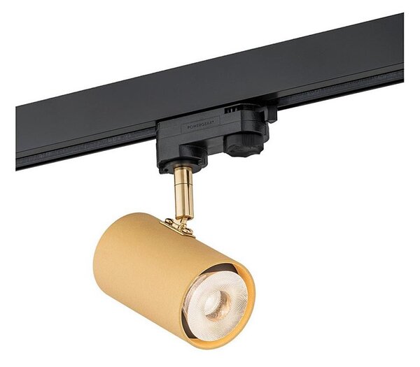 Argon 4323 - LED Bodové svítidlo do lištového systému HAGA LED/9W/230V zlatá