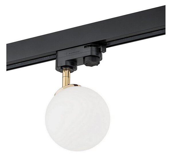 Argon 4307 - Bodové svítidlo do lištového systému BANG 1xG9/6W/230V mosaz