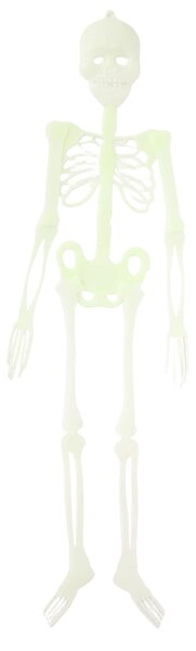 Sinsay - Halloweenská závěsná dekorace ve tvaru kostry - bílá