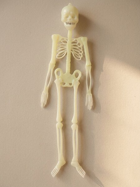 Sinsay - Halloweenská závěsná dekorace ve tvaru kostry - bílá