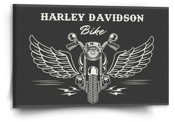 Sablio Obraz Harley-Davidson S křídly - 120x80 cm