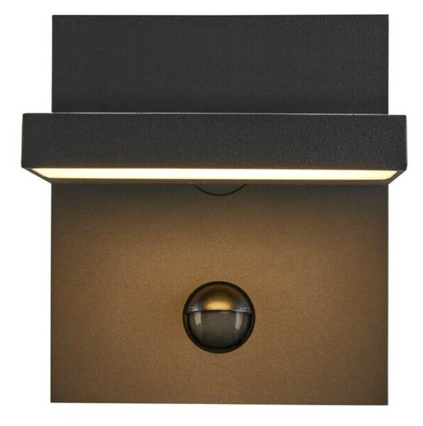 BIG WHITE SLV ABRIDOR SENSOR Outdoor, nástěnné LED svítidlo, IP55, antracitové, 3000/4000K 1002990