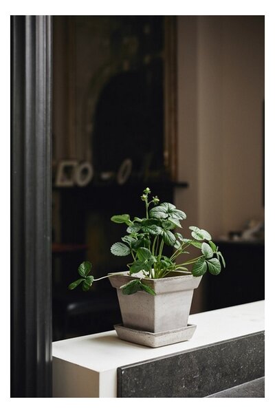 Květináč s podmiskou Gaia Square Grey 21 cm Bergs Potter