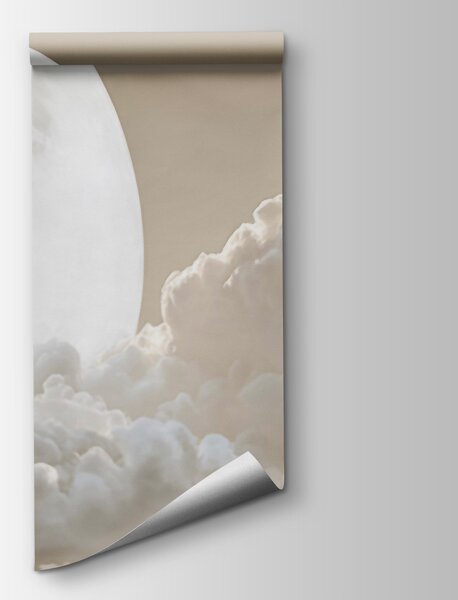 Fototapeta Úplněk na obloze, Nebeské fototapety, Populární fototapety, t00924 - Tapeko.co.cz
