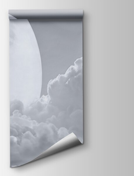 Fototapeta Úplněk na obloze, Nebeské fototapety, Populární fototapety, t00924v1 - Tapeko.co.cz