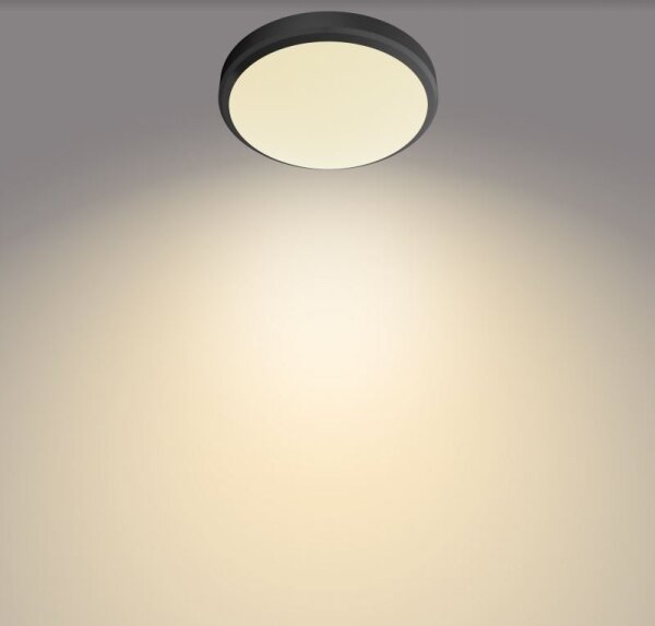 Philips - LED Koupelnové stropní svítidlo DORIS LED/6W/230V IP44