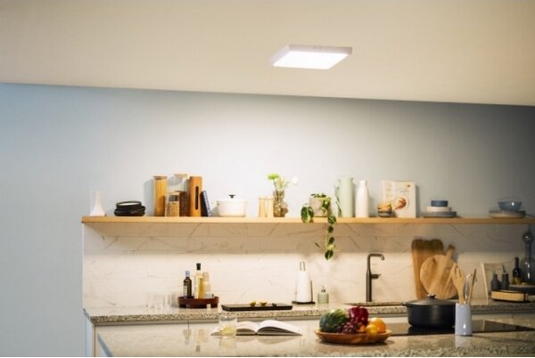 Philips - LED Stropní svítidlo MAGNEOS LED/20W/230V 2700K bílá