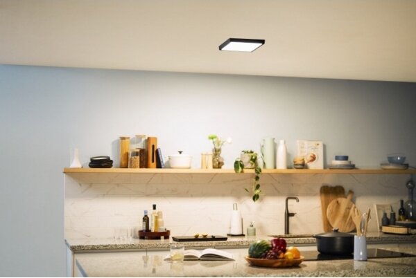 Philips - LED Stropní svítidlo MAGNEOS LED/12W/230V 2700K černá