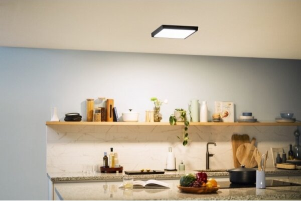 Philips - LED Stropní svítidlo MAGNEOS LED/20W/230V 2700K černá