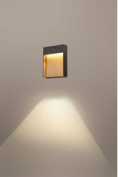 BIG WHITE SLV FLATT SENSOR Outdoor, nástěnné LED svítidlo, 3000K, IP65, antracitové/hnědé 1002955