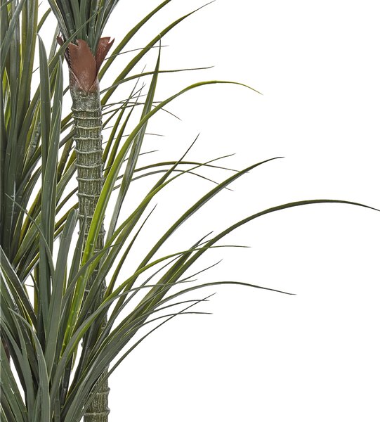 Umělá rostlina DRACAENA ANITA 198 cm Zelená