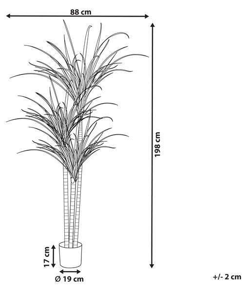 Umělá rostlina DRACAENA ANITA 198 cm Zelená