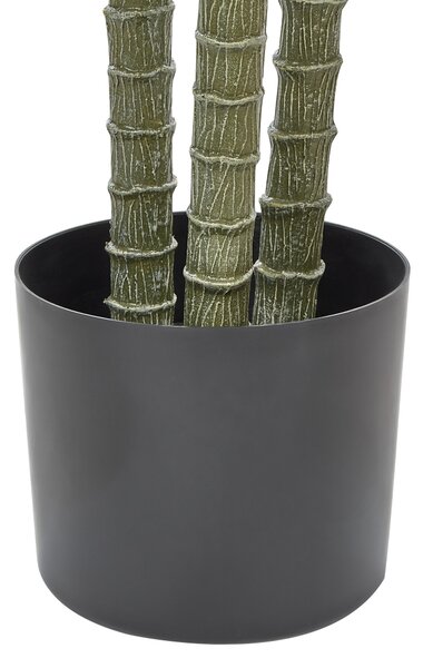 Umělá rostlina DRACAENA ANITA 198 cm Zelená
