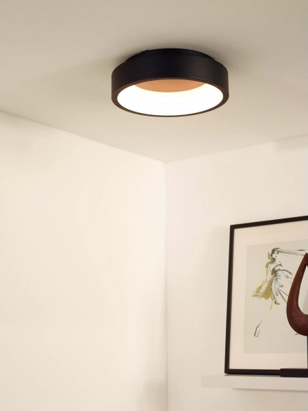 Lucide 46100/20/30 - LED Stmívatelné stropní svítidlo TALOWE LED/20W/230V černá