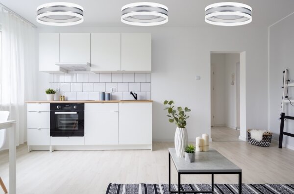 LED Stmívatelné stropní svítidlo SMART CORAL LED/24W/230V bílá/stříbrná + DO