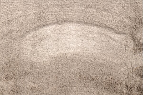 Makro Abra Kulatý koberec BUNNY taupe béžový Rozměr: průměr 100 cm