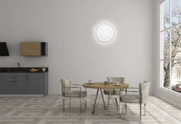 LED Stmívatelné stropní svítidlo LED/24W/230V + DO kulatý 2700K-6500K