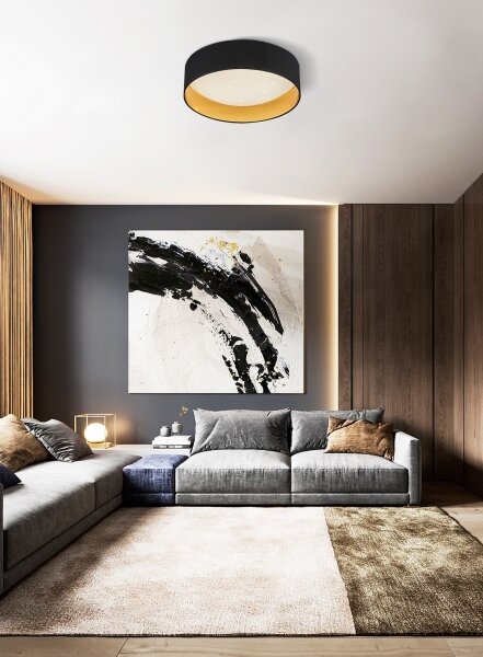 Top Light - LED Stmívatelné stropní svítidlo LED/24W/230V+dálkové ovládání černá