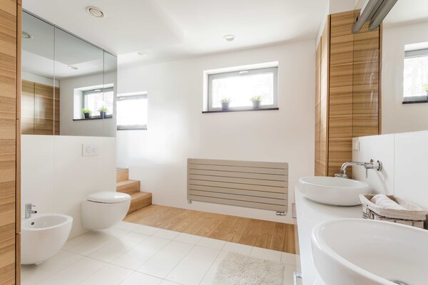 ISAN Melody Collom Double Horizontal designový radiátor