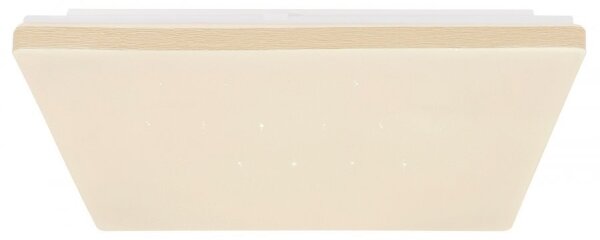 Globo 48025WSH - LED Stmívatelné stropní svítidlo LED/24W/230V Wi-Fi Tuya + DO