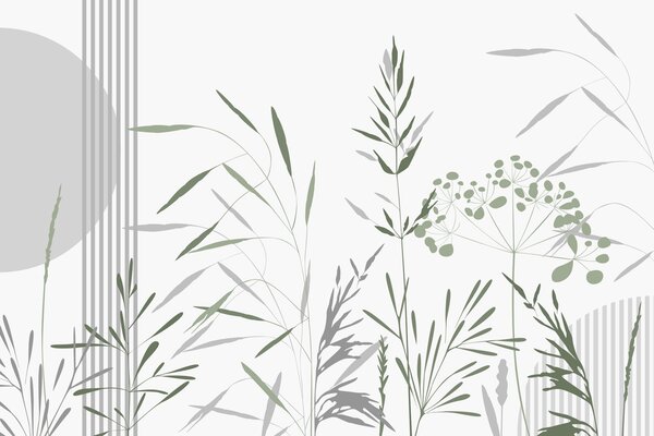 Fototapety Abstraktní siluety vegetace, Fototapety příroda, w05375 : uwalls.cz