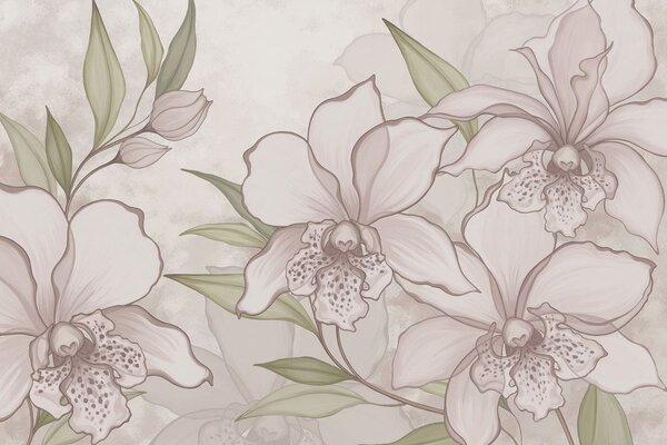 Fototapety Ilustrace bledých orchidejí s listy na béžovém pozadí, Fototapety květiny, w05117 : uwalls.cz