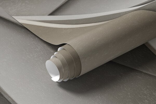 Fototapety Abstraktní listy v béžové a šedé barvě, texturované moderní umění, Fototapety 3D, w09769 : uwalls.cz