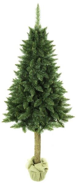Vánoční stromek na kmenu 180 cm jedle