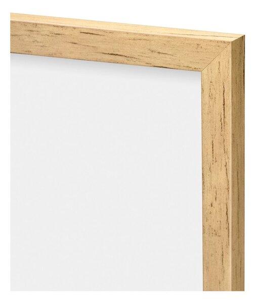 Obraz 30x40 cm Grass – knor