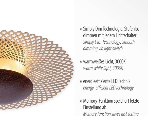 Paul Neuhaus 6551-48 - LED Stmívatelné stropní svítidlo NEVIS LED/18W/230V