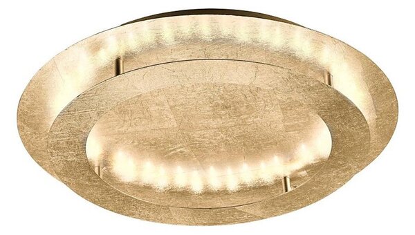 Paul Neuhaus 9621-12 - LED Stropní svítidlo NEVIS LED/24W/230V