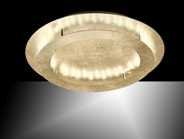 Paul Neuhaus 9621-12 - LED Stropní svítidlo NEVIS LED/24W/230V