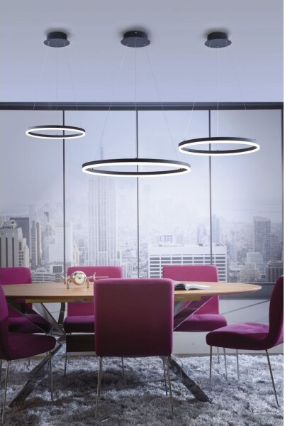 Paul Neuhaus 2381-13 - LED Stmívatelný lustr na lanku TITUS LED/28W/230V