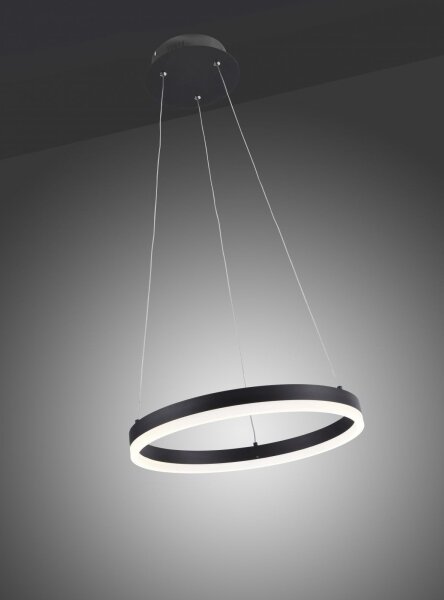 Paul Neuhaus 2381-13 - LED Stmívatelný lustr na lanku TITUS LED/28W/230V