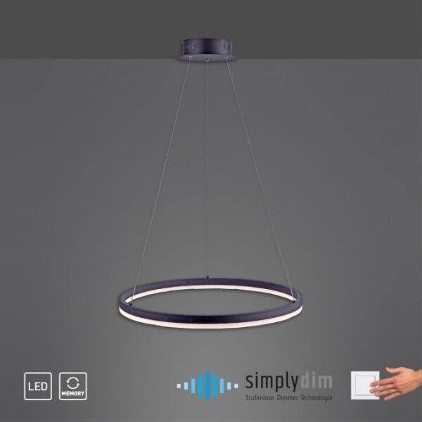Paul Neuhaus 2382-13 - LED Stmívatelný lustr na lanku TITUS LED/38,5W/230V