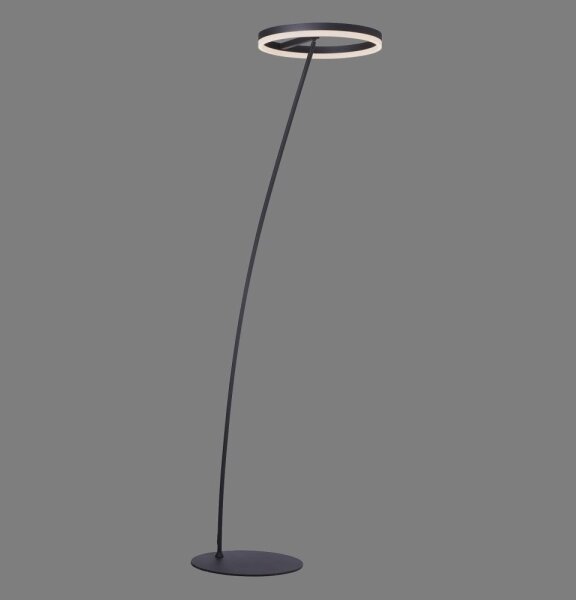 Paul Neuhaus 381-13 - LED Stmívatelná stojací lampa TITUS LED/19,5W/230V