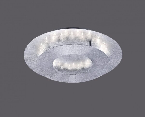 Paul Neuhaus 9011-21 - LED Stropní svítidlo NEVIS LED/6W/230V stříbrná
