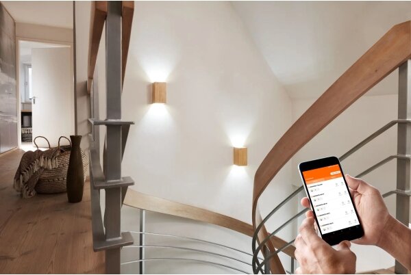 Ledvance - LED Stmívatelné nástěnné svítidlo SMART+ WOOD LED/12W/230V Wi-Fi
