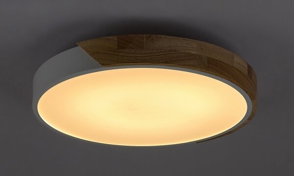 Rabalux 3527 - LED Stropní svítidlo MAPLE LED/24W/230V bílá