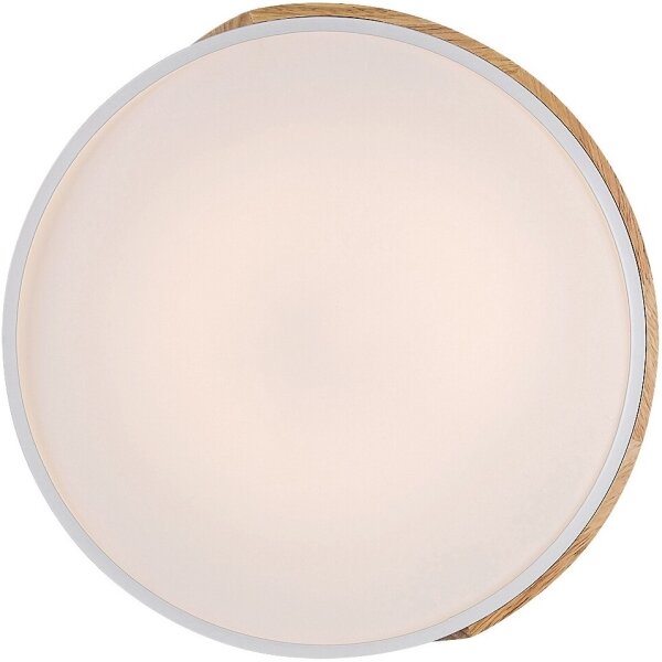 Rabalux 3527 - LED Stropní svítidlo MAPLE LED/24W/230V bílá